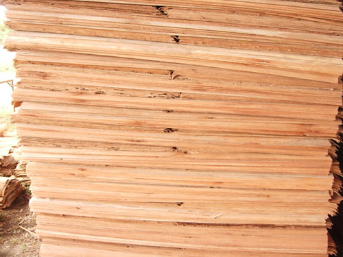 Apitong veneer