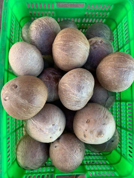 Coconut product