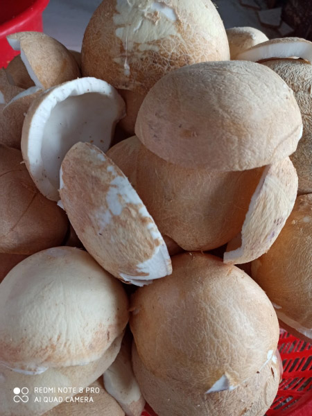 Coconut product