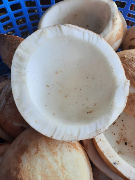 Coconut product