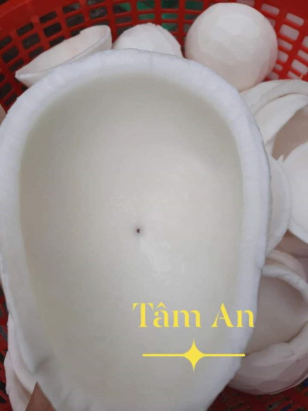 Coconut product