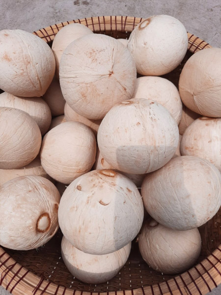 Coconut product