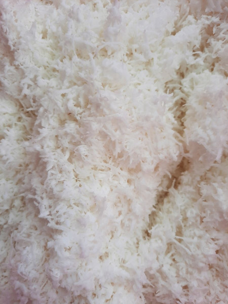 Coconut product
