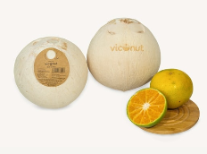Round coconut