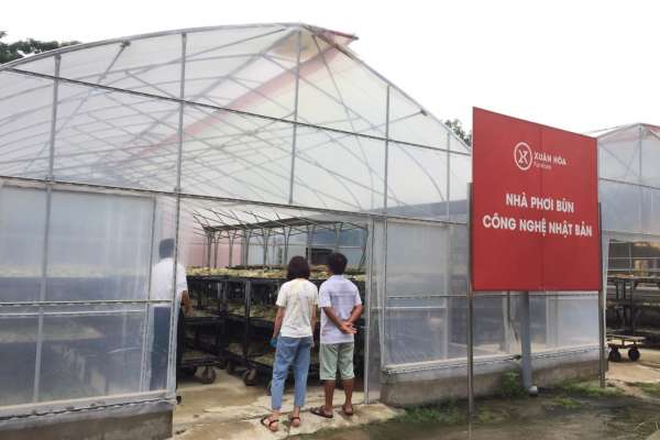 Greenhouse
