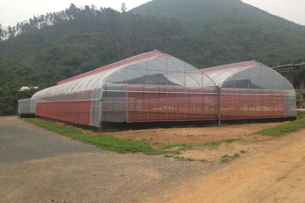 Greenhouse