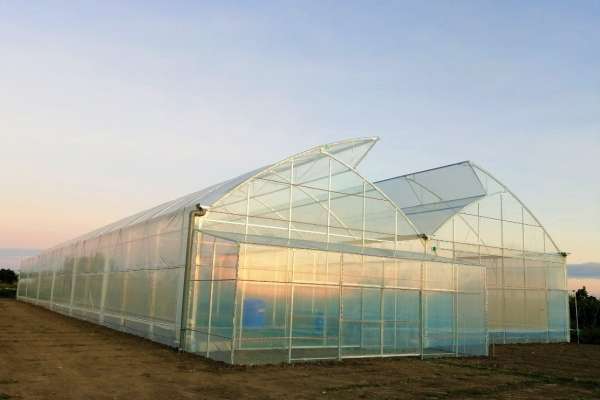Greenhouse