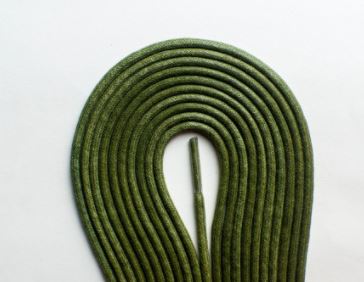 Shoelace