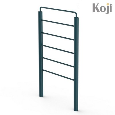 Workout ladder