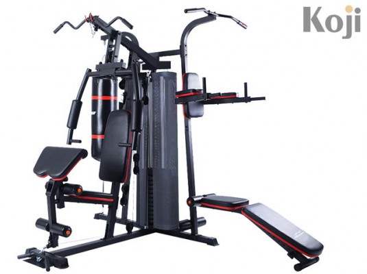 Multi station gym