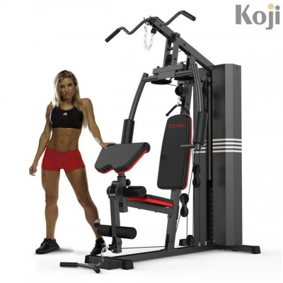 Multi station gym