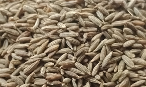 Cumin Seeds