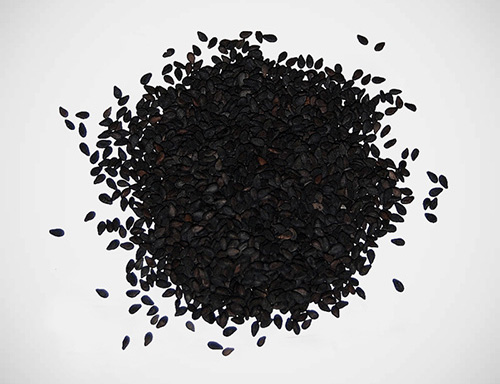 Sesame Seeds