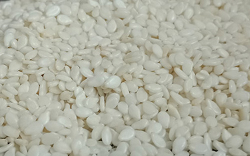 Sesame Seeds