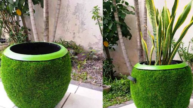 Decorative grass