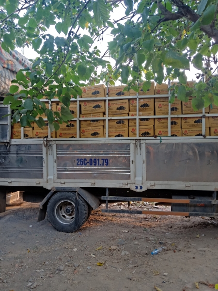 VinaKosan factory image