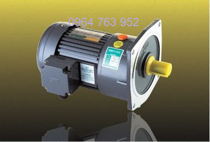 Speed-reducer motor