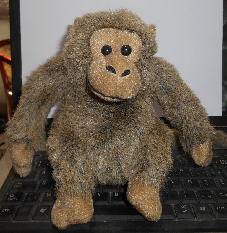Monkey Stuffed Toy