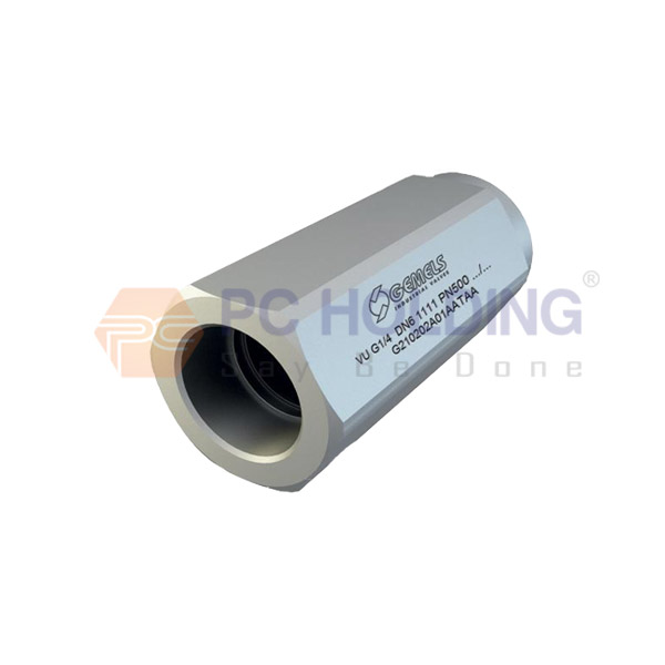 Check valve