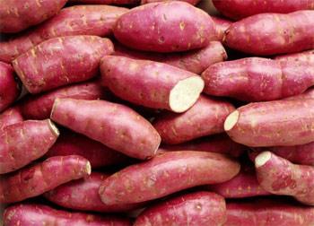 Sweet potato