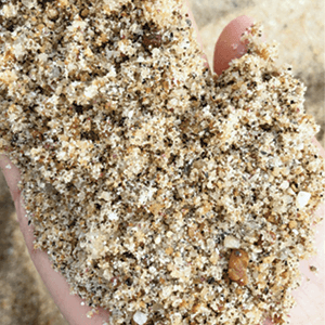 Golden Sand