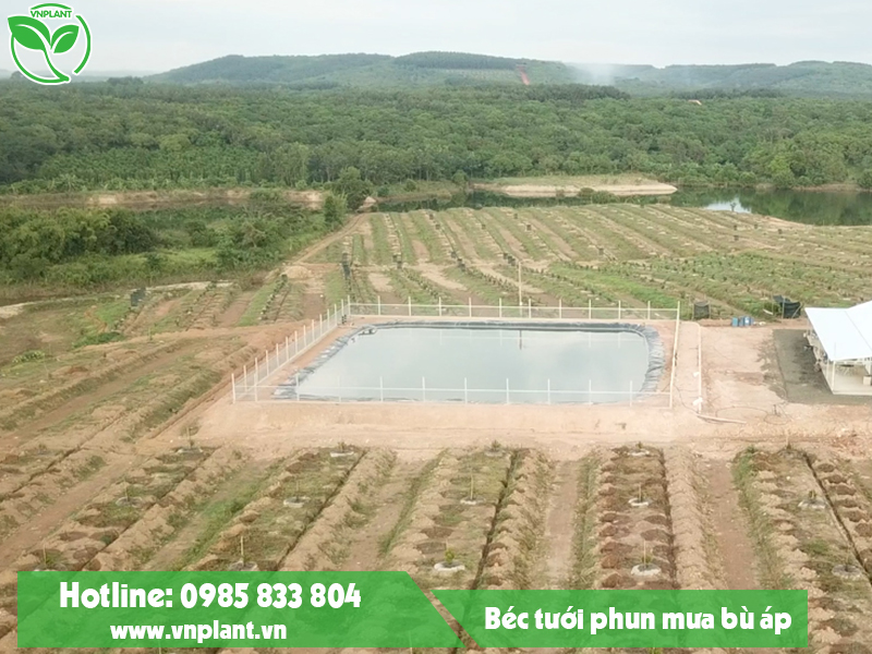 Automatic irrigation system for hilly terrain