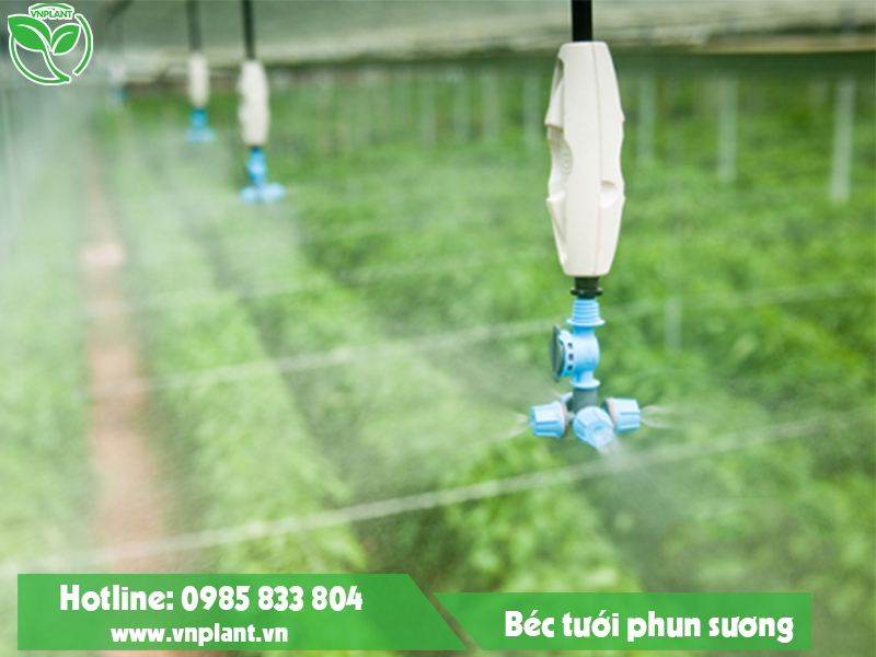Mist irrigation system
