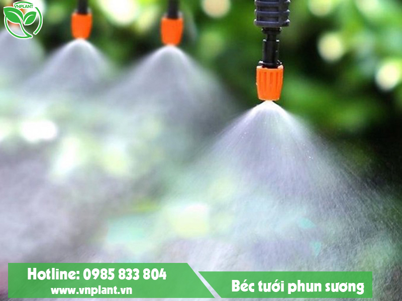 Mist irrigation system