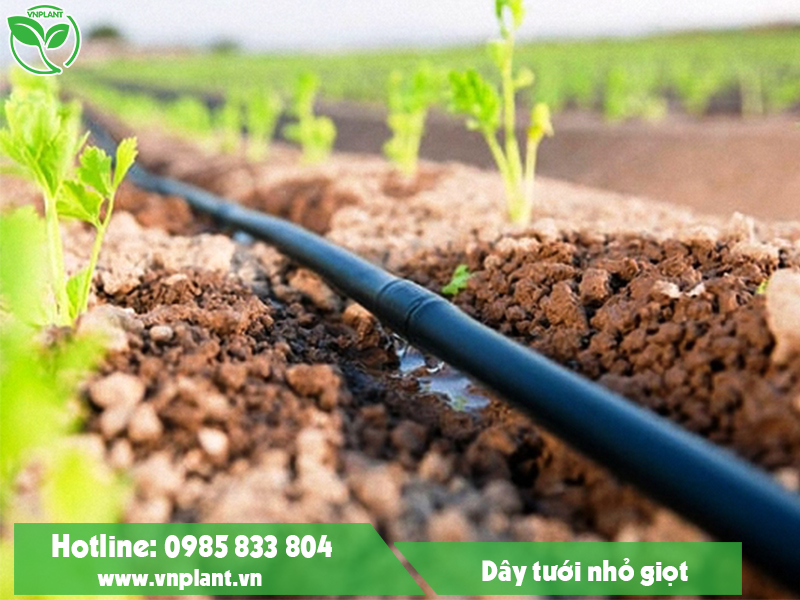 Drip irrigation system