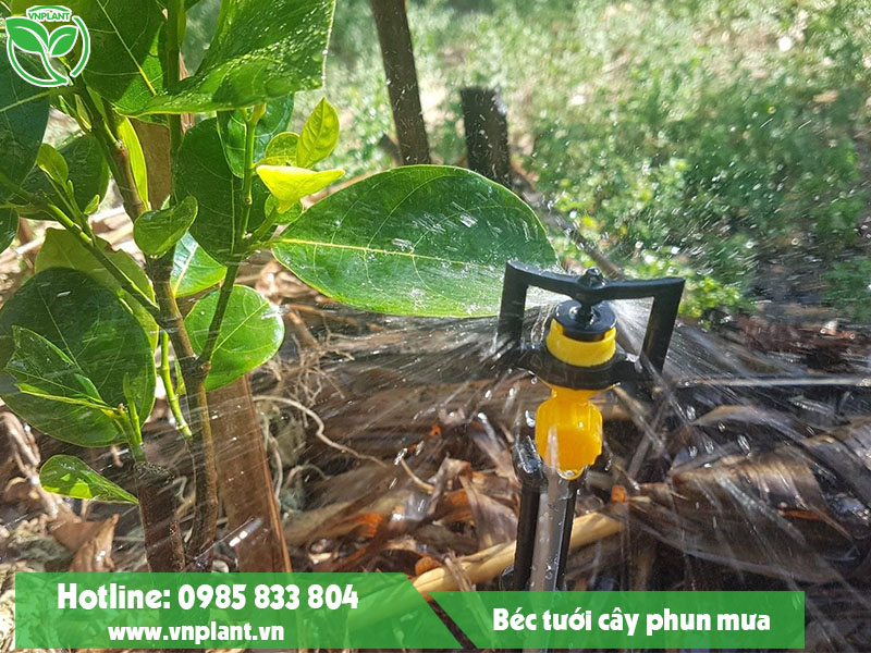 Sprinkler irrigation system