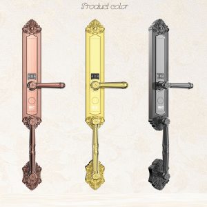 Fingerprint door lock
