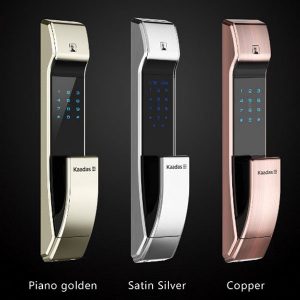 Fingerprint door lock