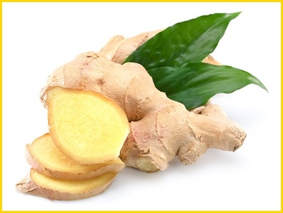 Ginger