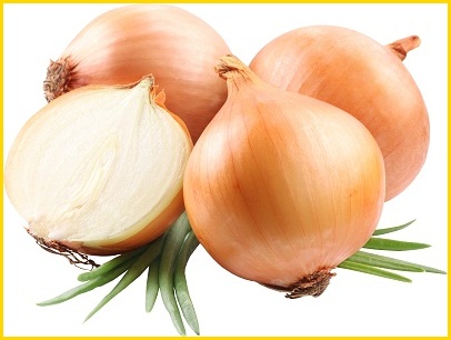 Onion