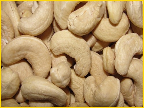 Cashew
