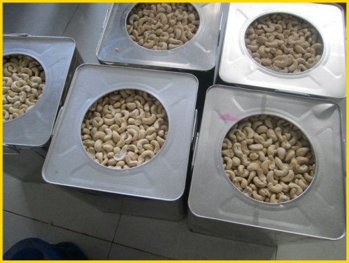 Cashew