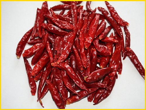 Dried chili