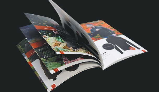Brochure, catalogue printing