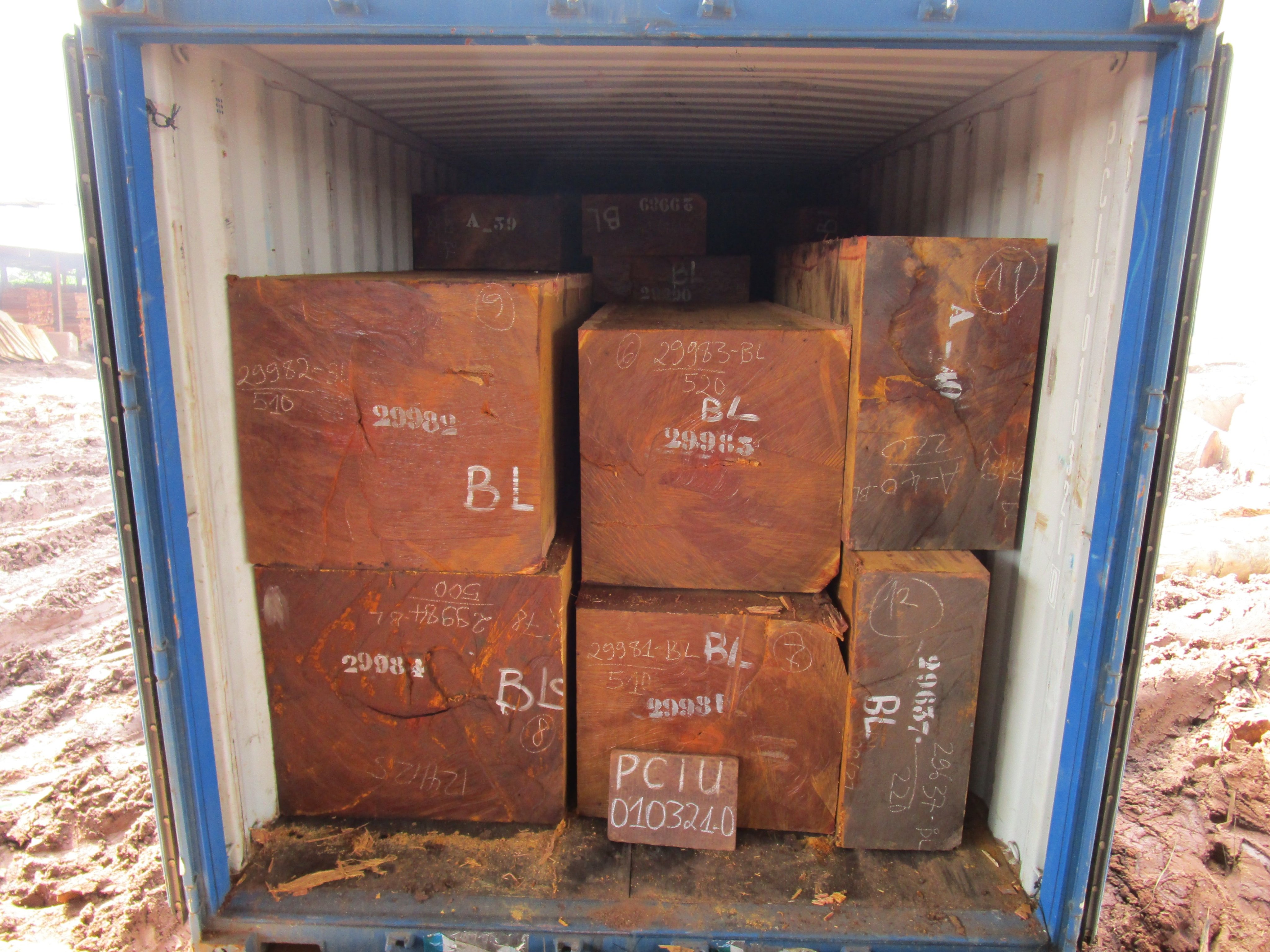 Bilinga wood