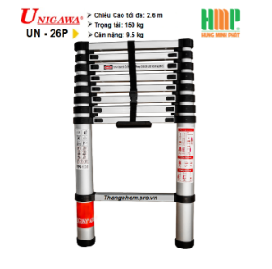 Telescopic ladder