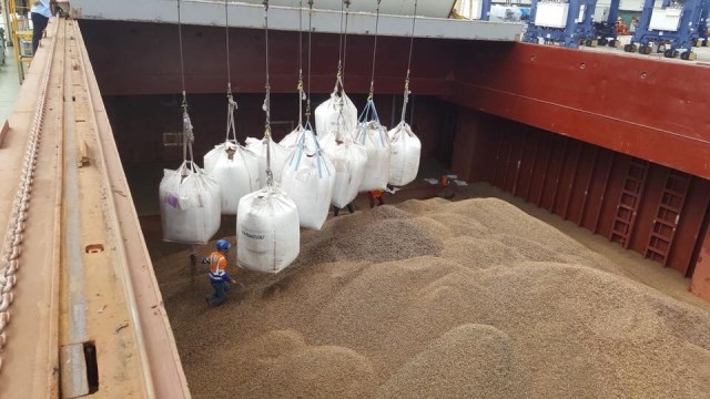 Wood pellets