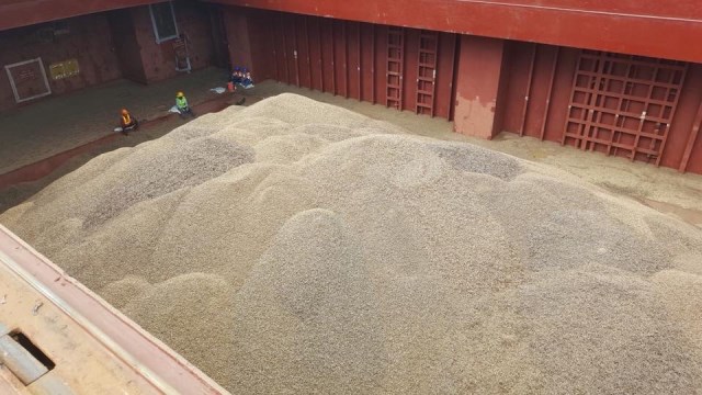 Wood pellets