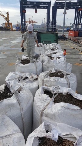 Wood pellets