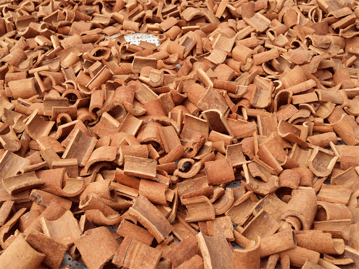 Cinnamon