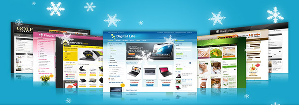 Service-oriented website design