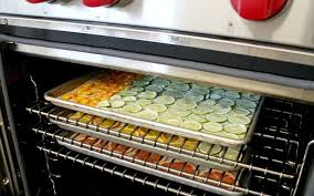 Food drying oven