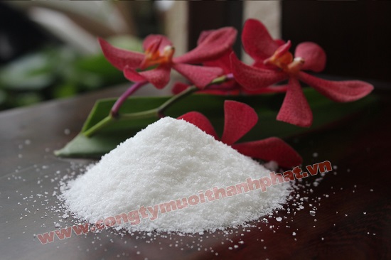 Vietnamese dried salt