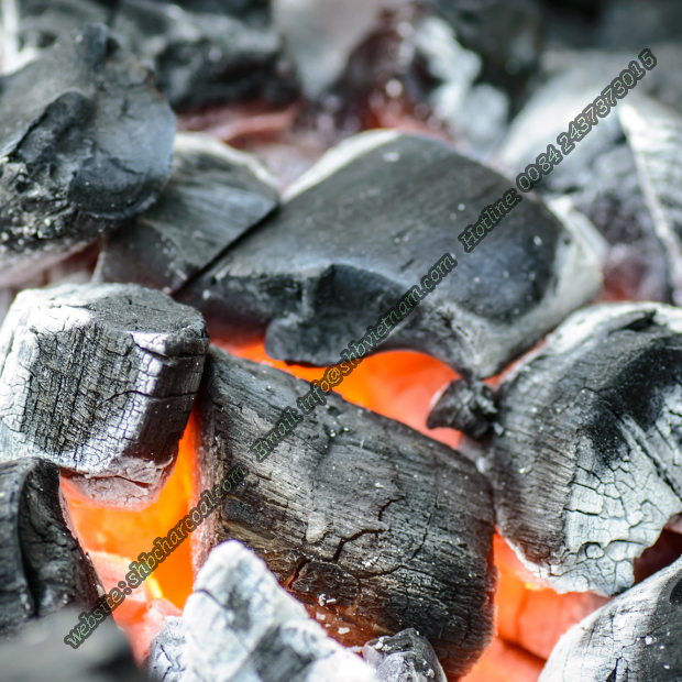 Acacia black charcoal