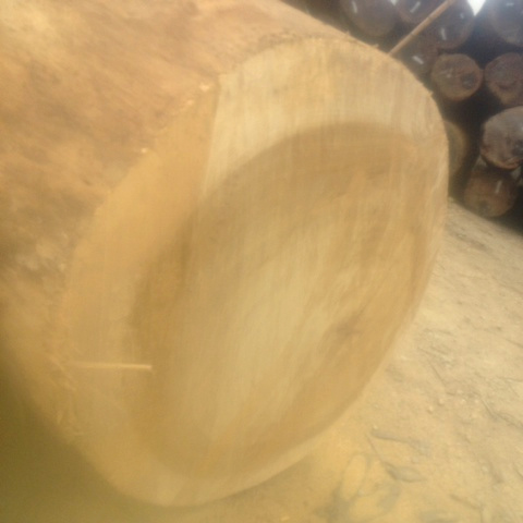 Round wood