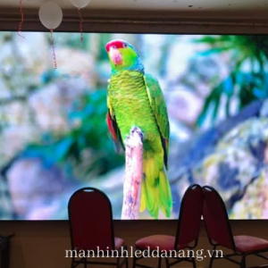 P3 Indoor LED display